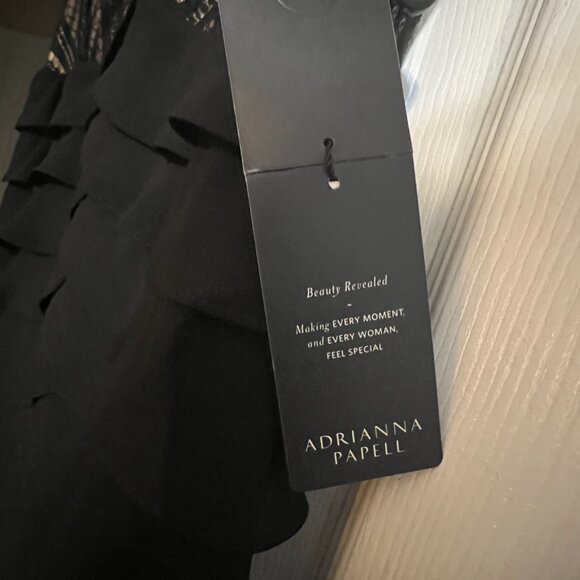 Adrianna Papell Lace Shutter Formal Gown (Plus Size) - Picture 5 of 6